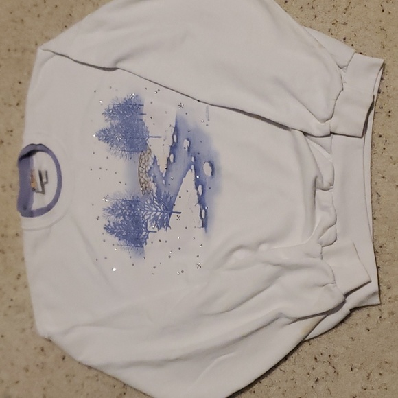 Morning Sun Sweaters - 90s vintage winter land morning sun crewneck